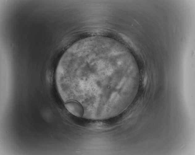 X0000103250695200809181605