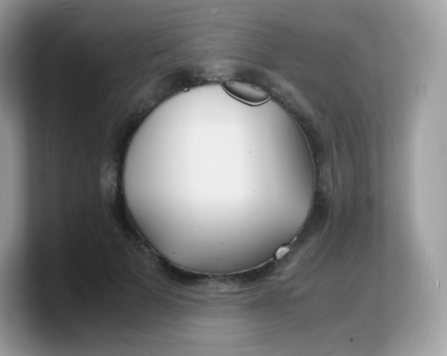 X0000103250697200809181605