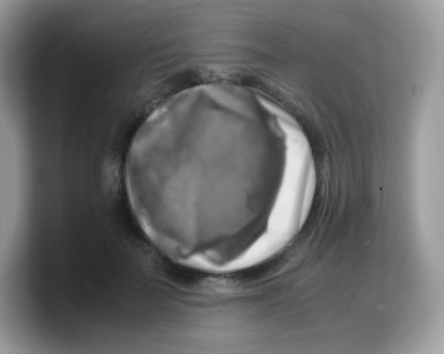 X0000103250699200809181605