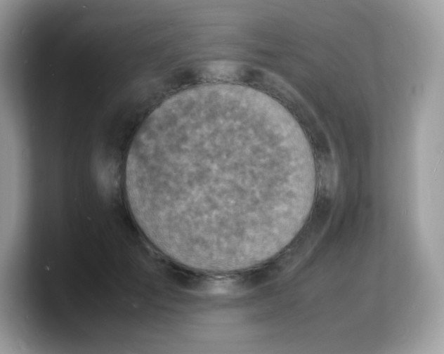 X0000103250701200809181605