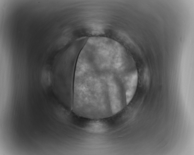 X0000103250704200809181605