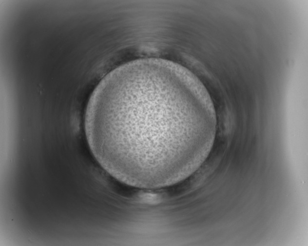 X0000103250706200809181604
