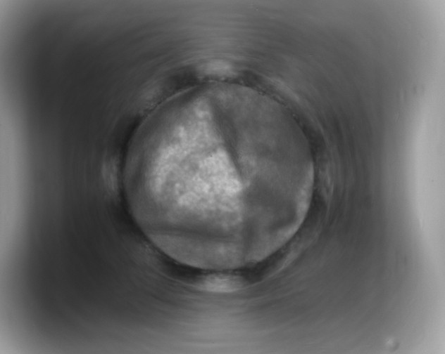 X0000103250708200809181604