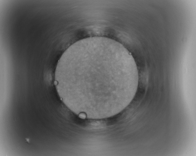 X0000103250709200809181604