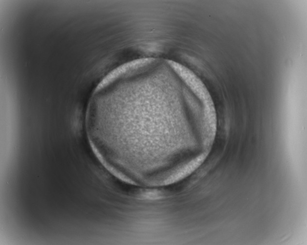 X0000103250710200809181604