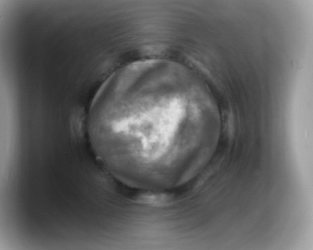 X0000103250712200809181604