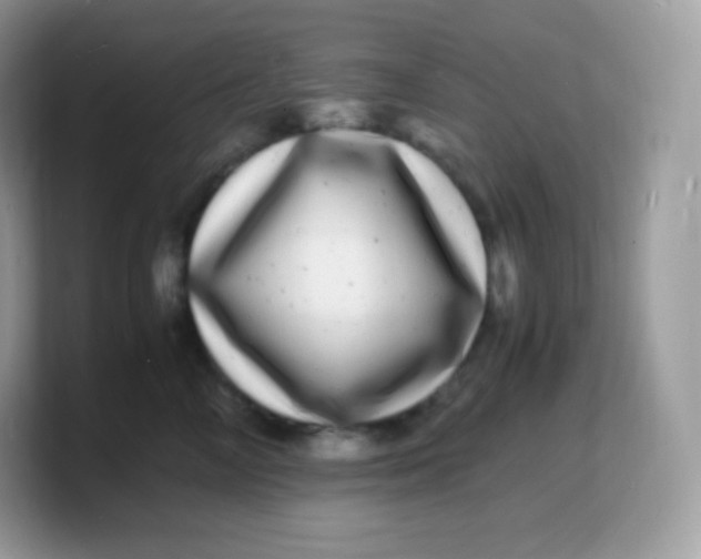 X0000103250714200809181604