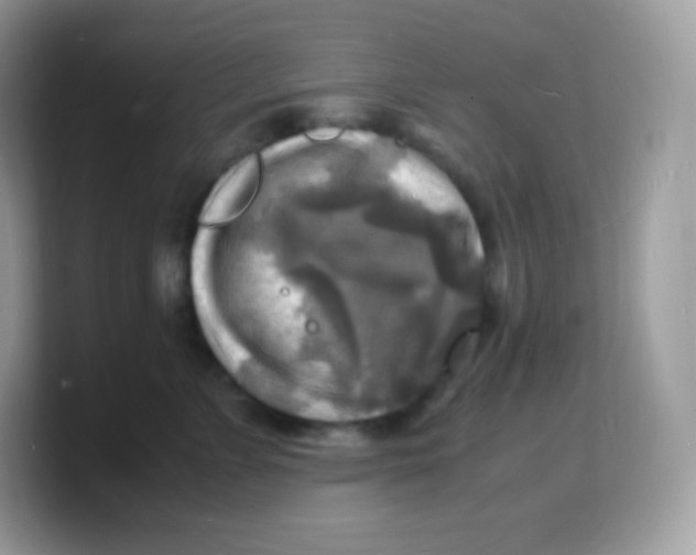 X0000103250715200809181604
