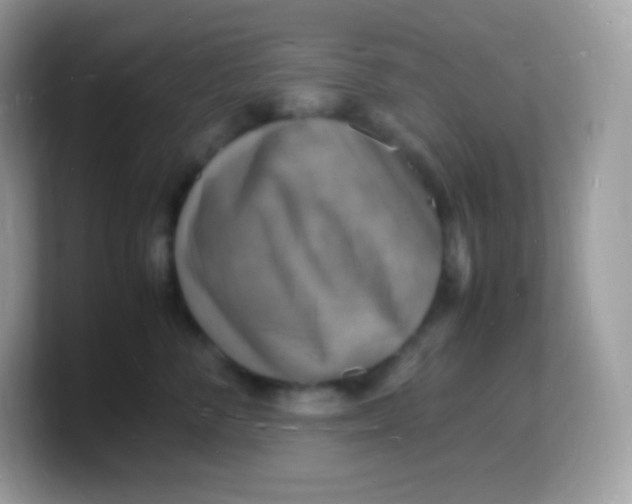 X0000103250716200809181604