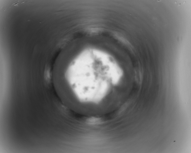 X0000103250718200809181604