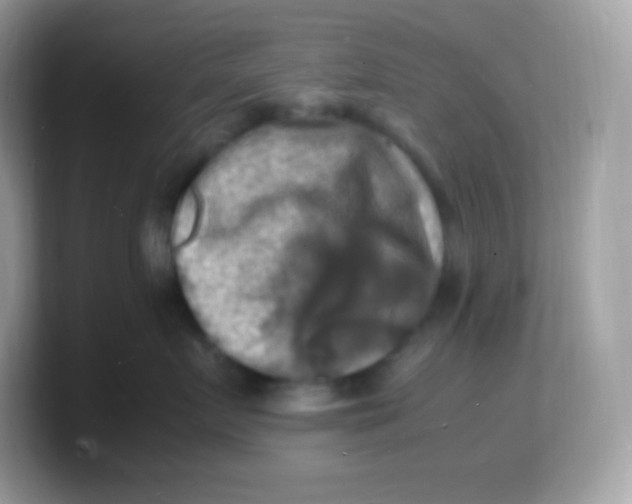 X0000103250719200809181604