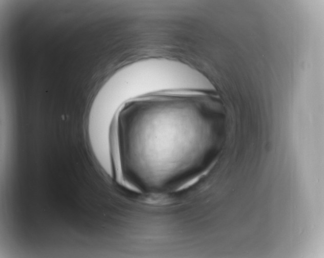 X0000103250720200809181604