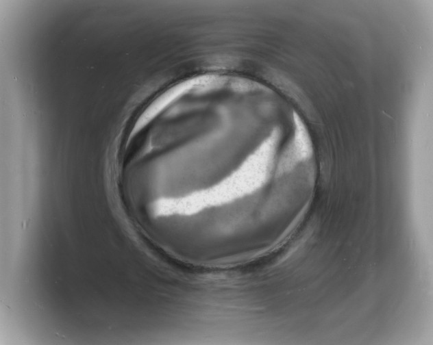 X0000103250721200809181604