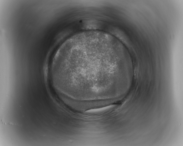 X0000103250722200809181604