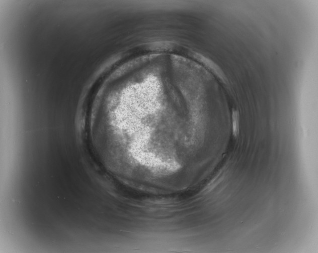 X0000103250723200809181604