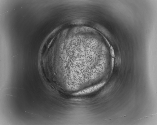 X0000103250724200809181604