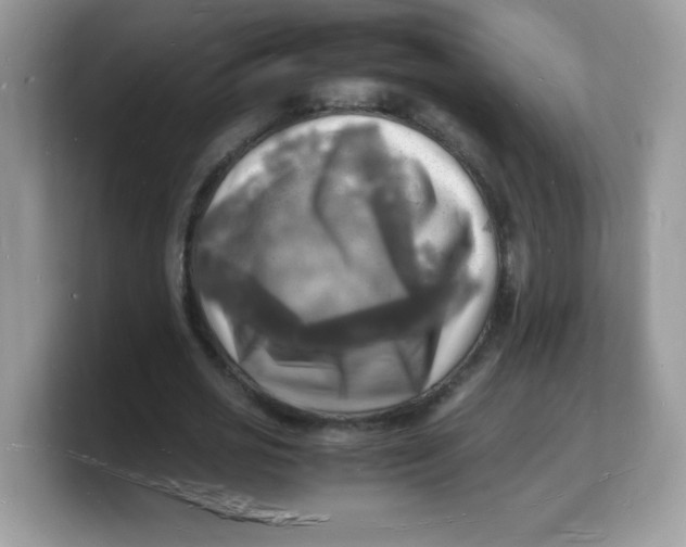 X0000103250725200809181604