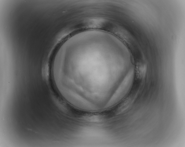 X0000103250726200809181604