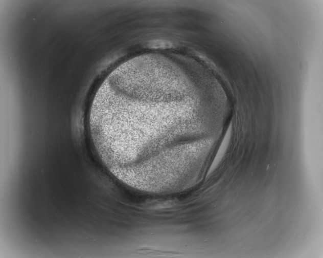 X0000103250727200809181604