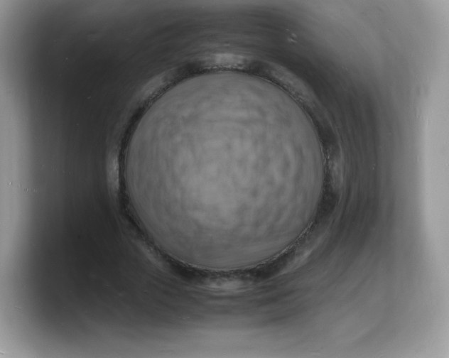 X0000103250729200809181604