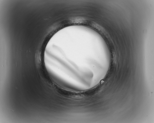 X0000103250731200809181604