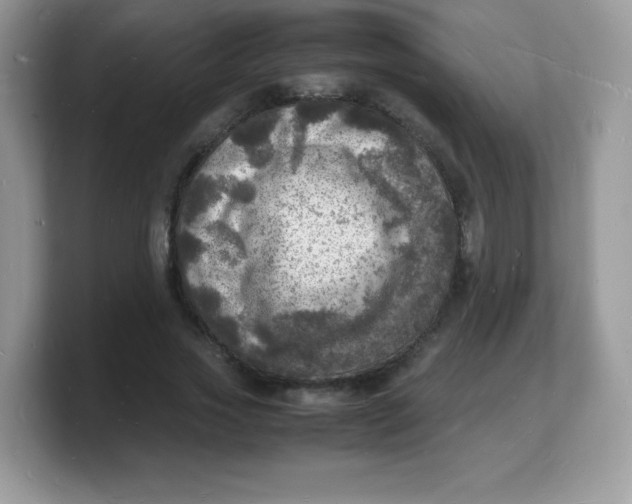 X0000103250733200809181604