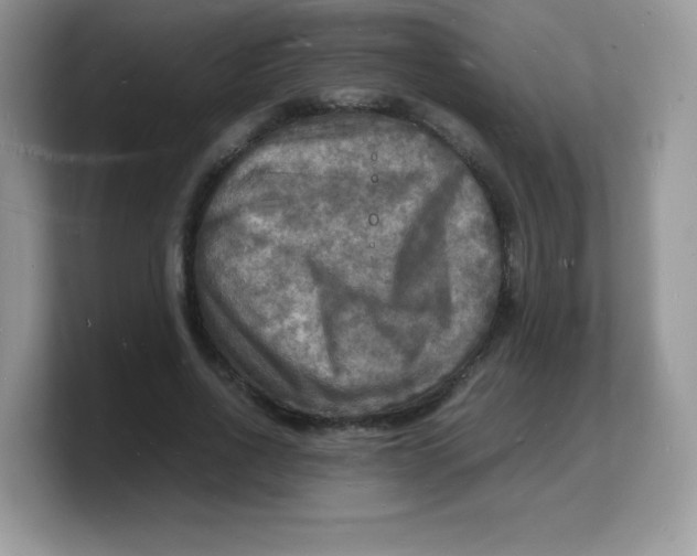 X0000103250734200809181604
