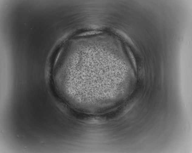 X0000103250736200809181604