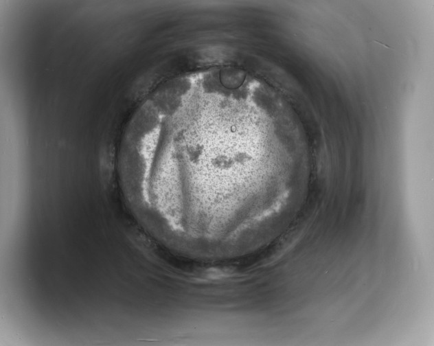 X0000103250737200809181604