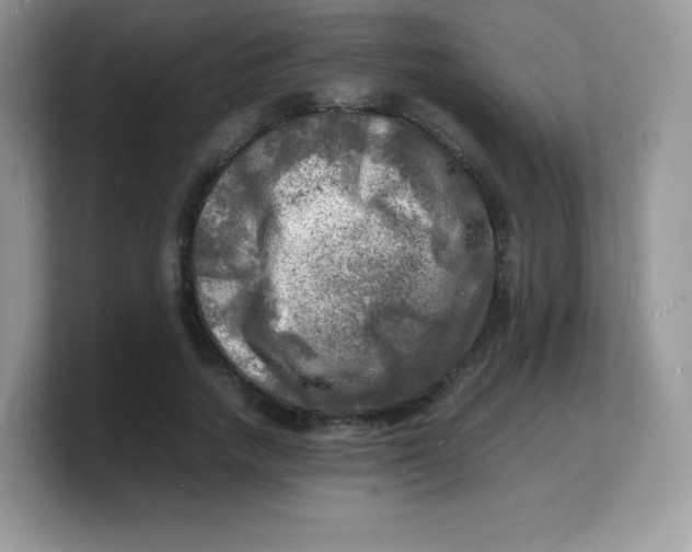 X0000103250738200809181604
