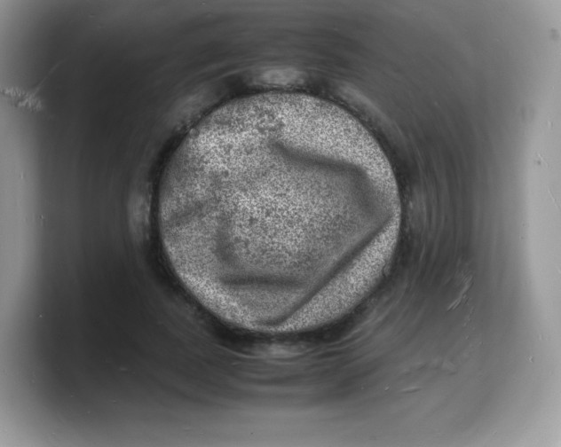 X0000103250739200809181604