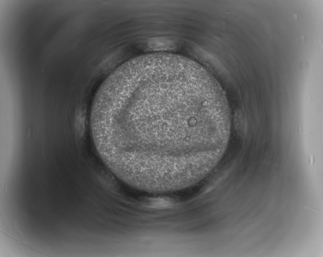 X0000103250741200809181604