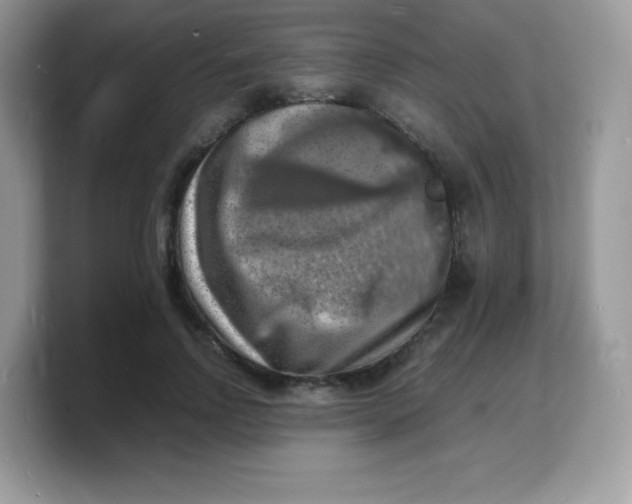 X0000103250742200809181604