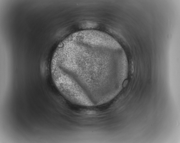 X0000103250743200809181604
