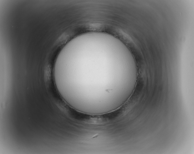 X0000103250744200809181604
