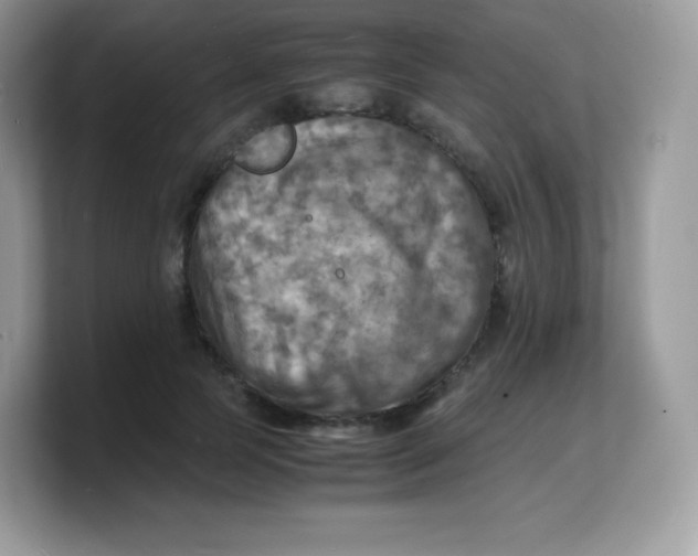X0000103250745200809181604