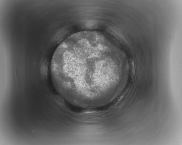 X0000103250746200809181604