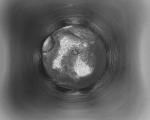 X0000103250747200809181604