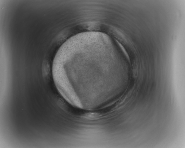 X0000103250748200809181604