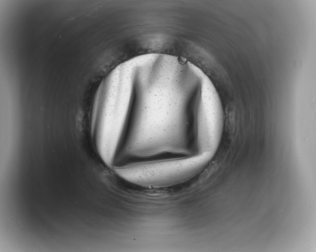 X0000103250750200809181604