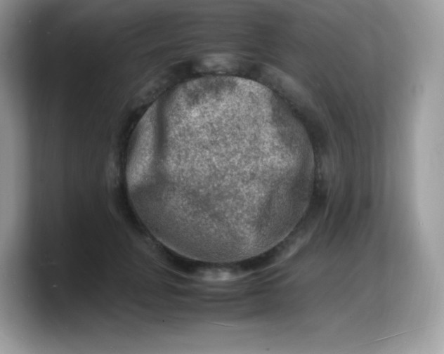 X0000103250751200809181604