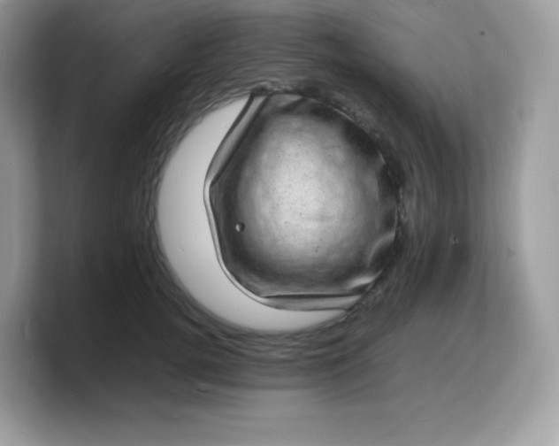 X0000103250752200809181604