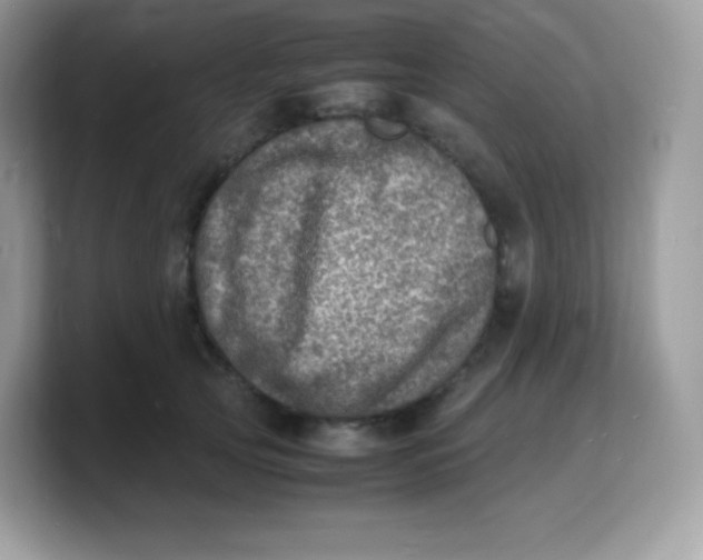 X0000103250753200809181604