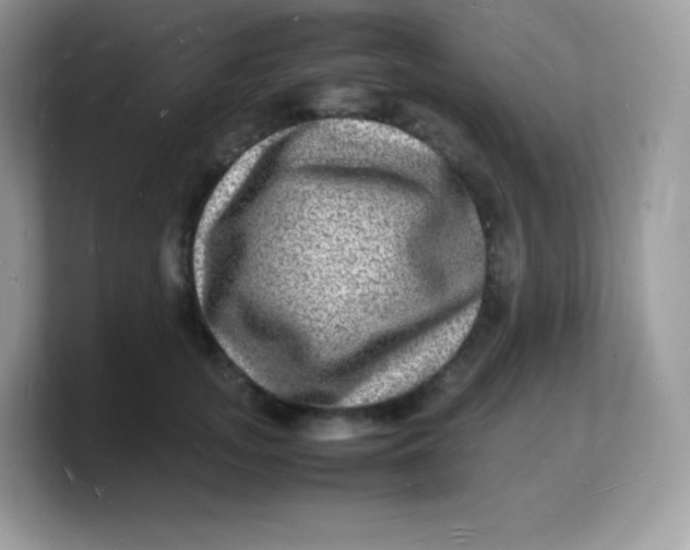 X0000103250755200809181604