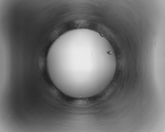 X0000103250756200809181604