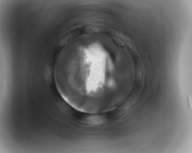 X0000103250759200809181604