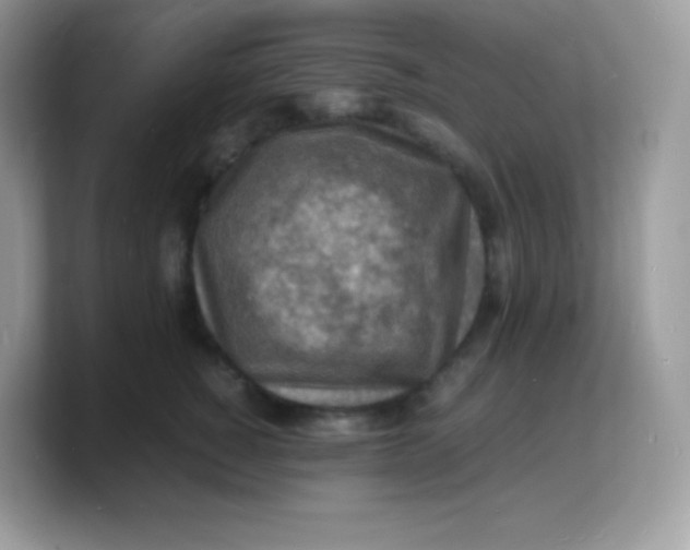 X0000103250760200809181604