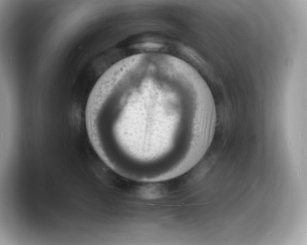 X0000103250761200809181604