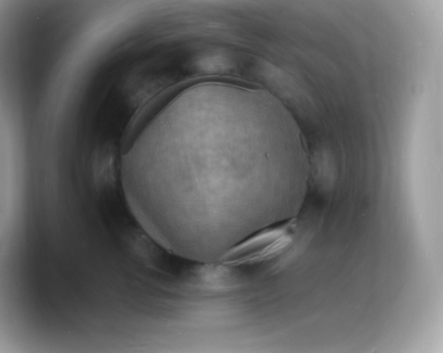 X0000103250762200809181604