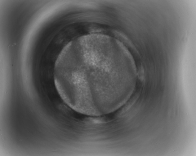 X0000103250763200809181604